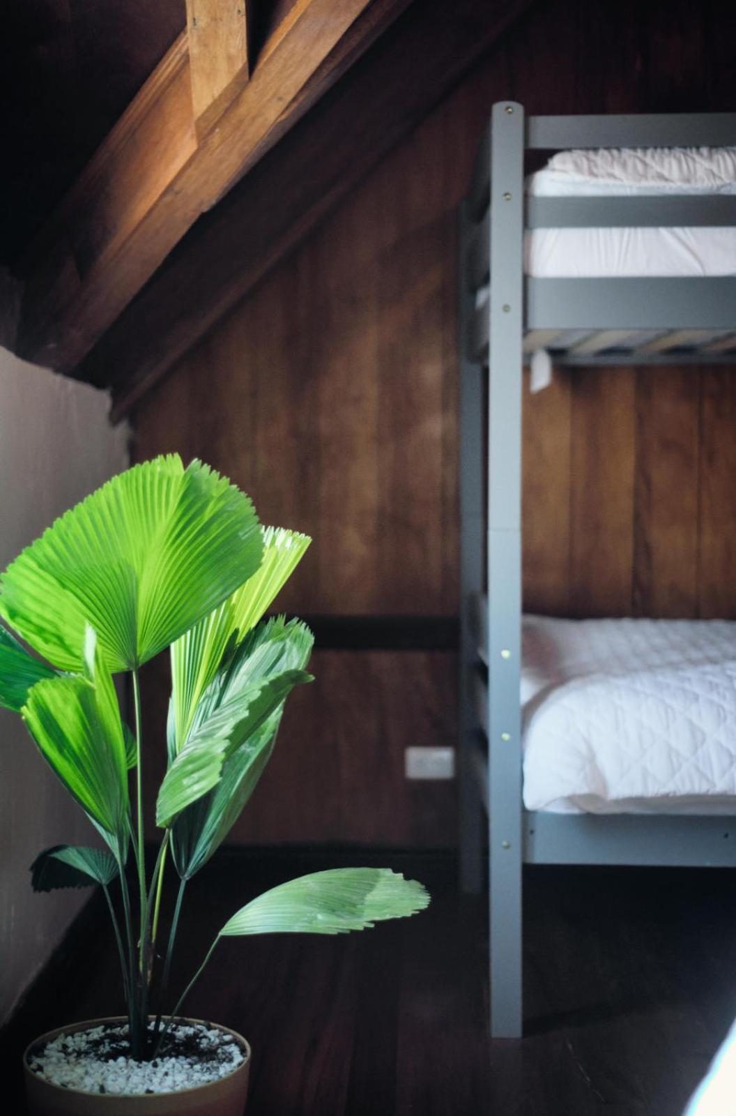 Hostal Don Cenobio Flores Zewnętrze zdjęcie